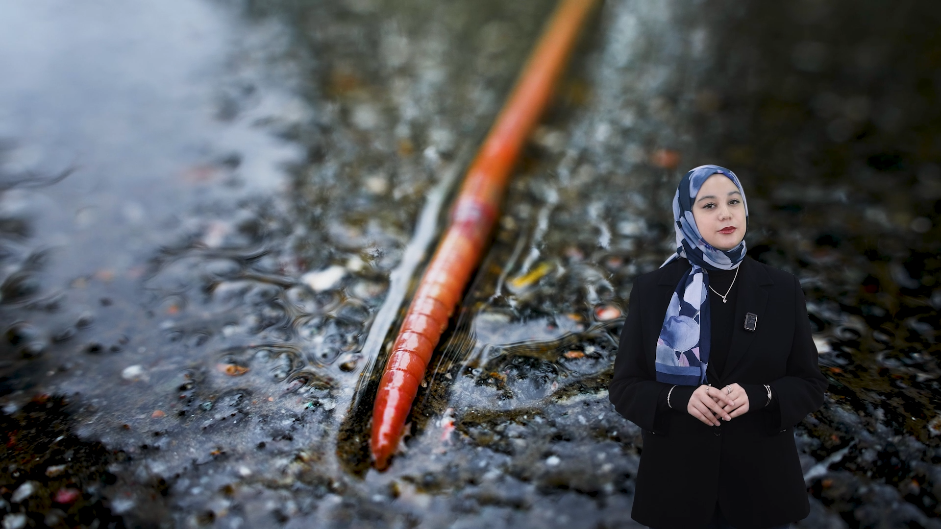 Solucanı ortadan ikiye bölsek gerçekten iki solucan mı elde ederiz❓🪱